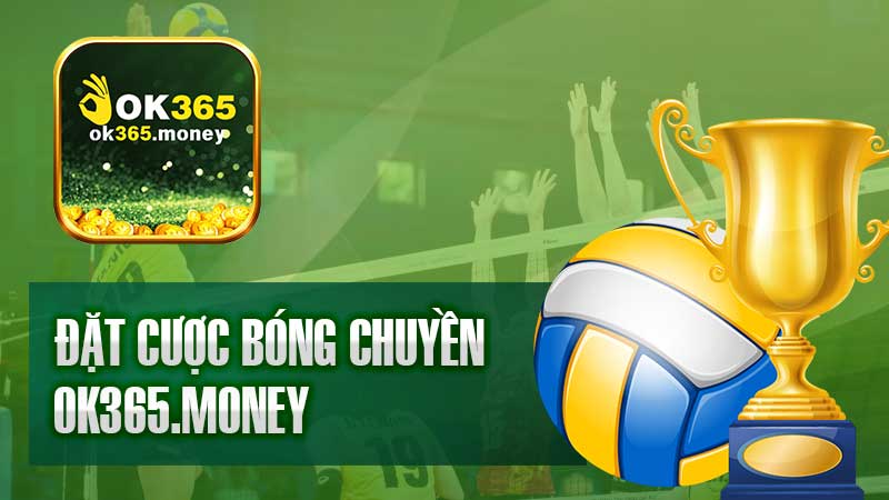 Đặt Cược Bóng Chuyền Thú Vị Chỉ Có Tại Ok365.