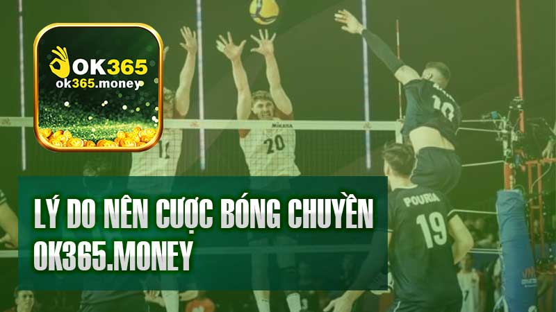 Lý do nên cá cược bóng chuyền OK365 